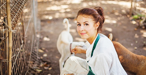Emplois dans le secteur de l'environnement (Istock)